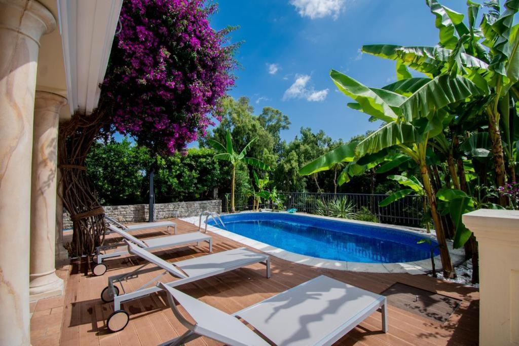 Vila Oliva Herceg Novi Exteriör bild