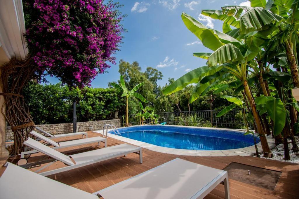 Vila Oliva Herceg Novi Exteriör bild