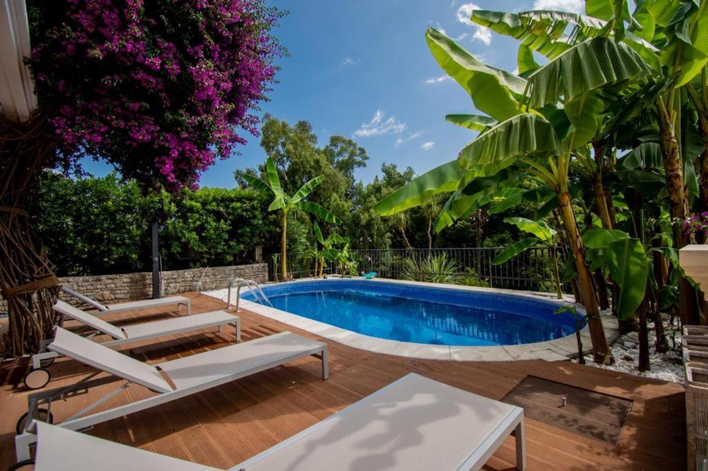 Vila Oliva Herceg Novi Exteriör bild